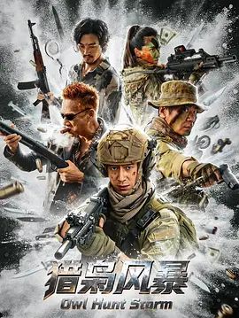 猎枭风暴电影