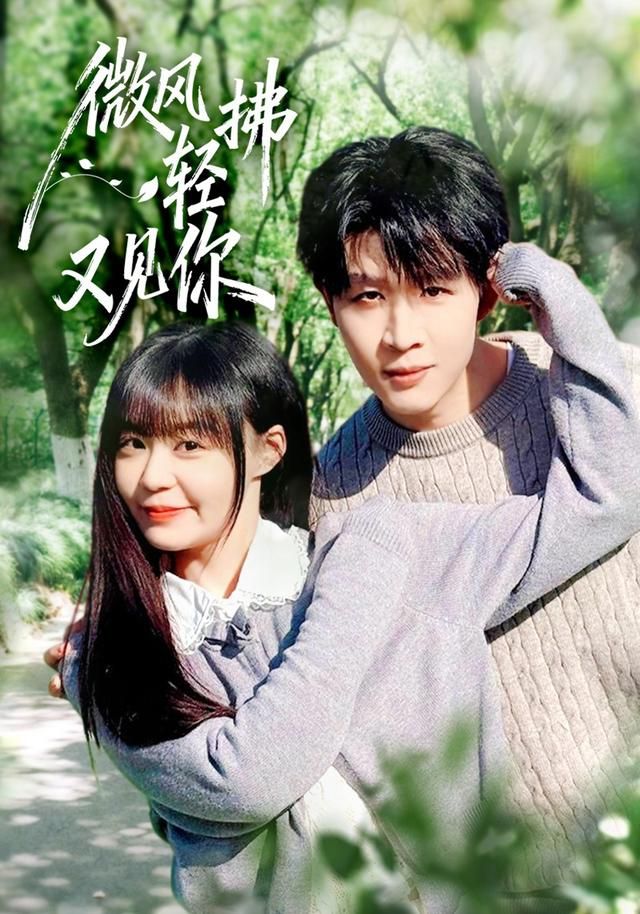 微风轻拂又见你短剧