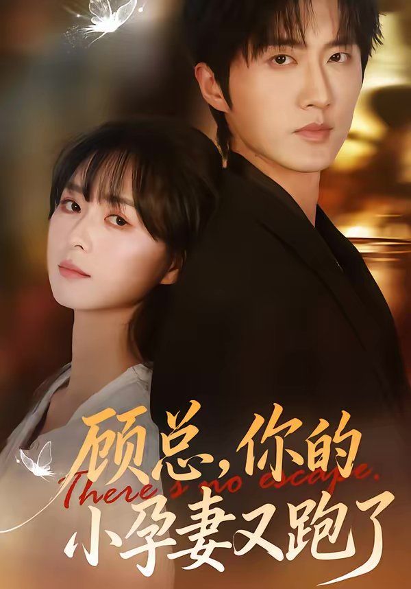 顾总，你的小孕妻又跑了短剧