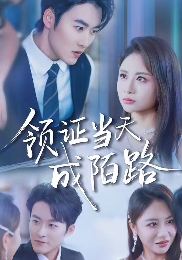 领证当天成陌路短剧