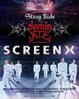 Stray Kids：主宰一切的体验电影