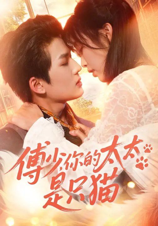 傅少，你的太太是只猫短剧
