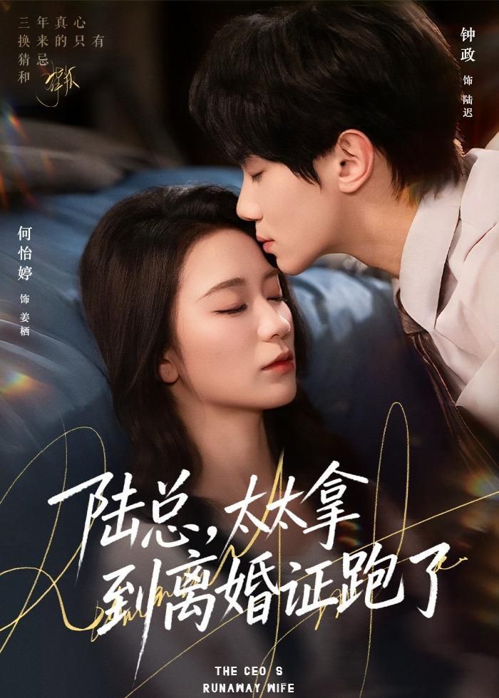 陆总，太太拿到离婚证跑了短剧